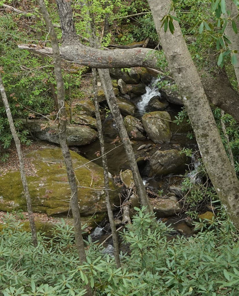 77 Denali Drive, Clayton GA 30525 - Photo