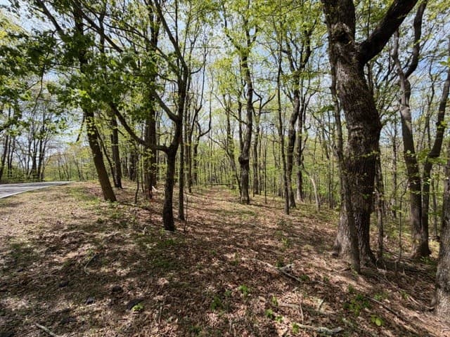 Lot 26 Falcons Nest, Jasper GA 30143 - Photo