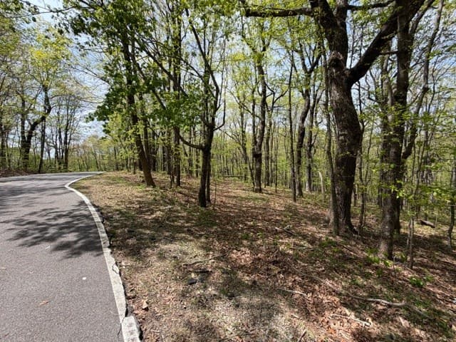 Lot 26 Falcons Nest, Jasper GA 30143 - Photo