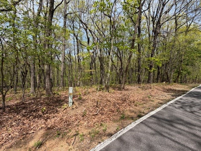 Lot 26 Falcons Nest, Jasper GA 30143 - Photo