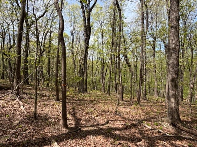 Lot 26 Falcons Nest, Jasper GA 30143 - Photo
