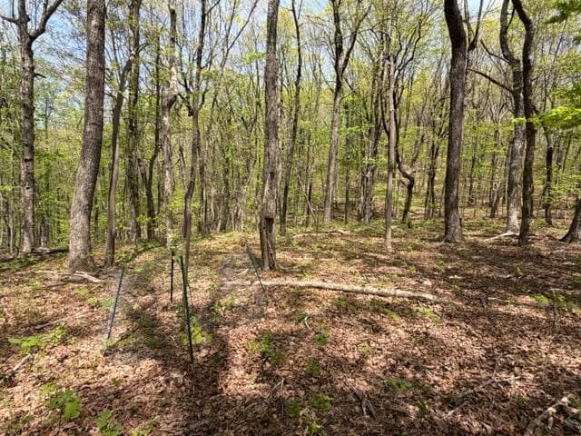 Lot 26 Falcons Nest, Jasper GA 30143 - Photo
