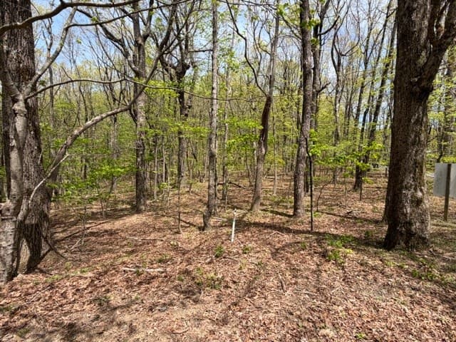 Lot 26 Falcons Nest, Jasper GA 30143 - Photo