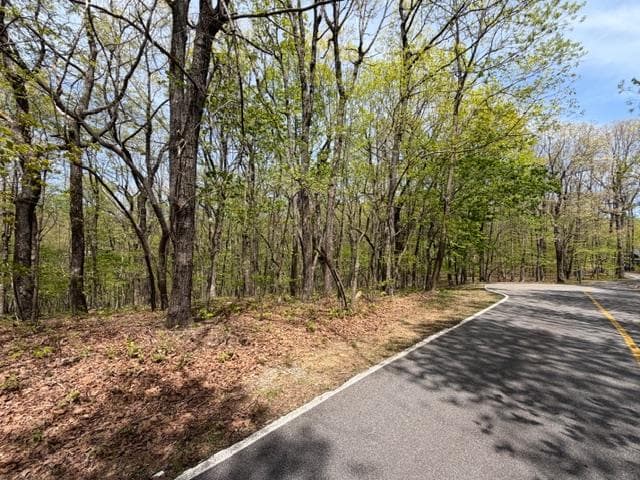 Lot 26 Falcons Nest, Jasper GA 30143 - Photo