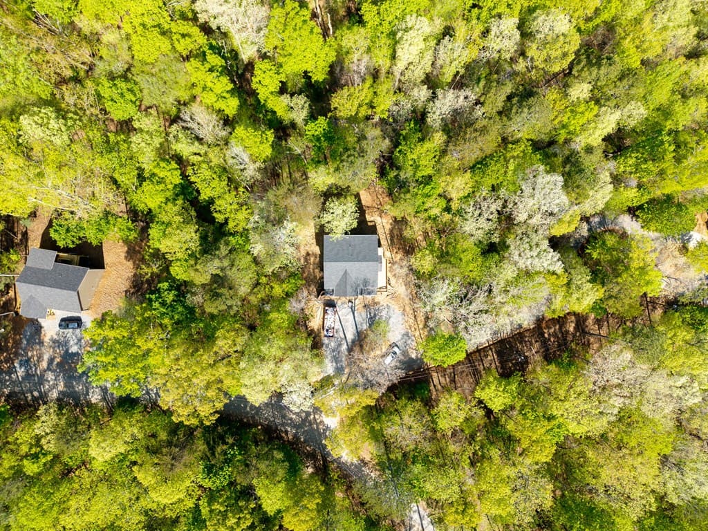 123 Pamela Court, Ellijay GA 30540 - Photo
