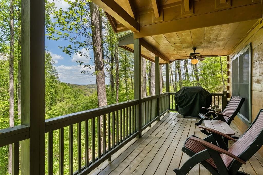 431 Little Bushy Head Road, Blue Ridge GA 30513 - Primary photo