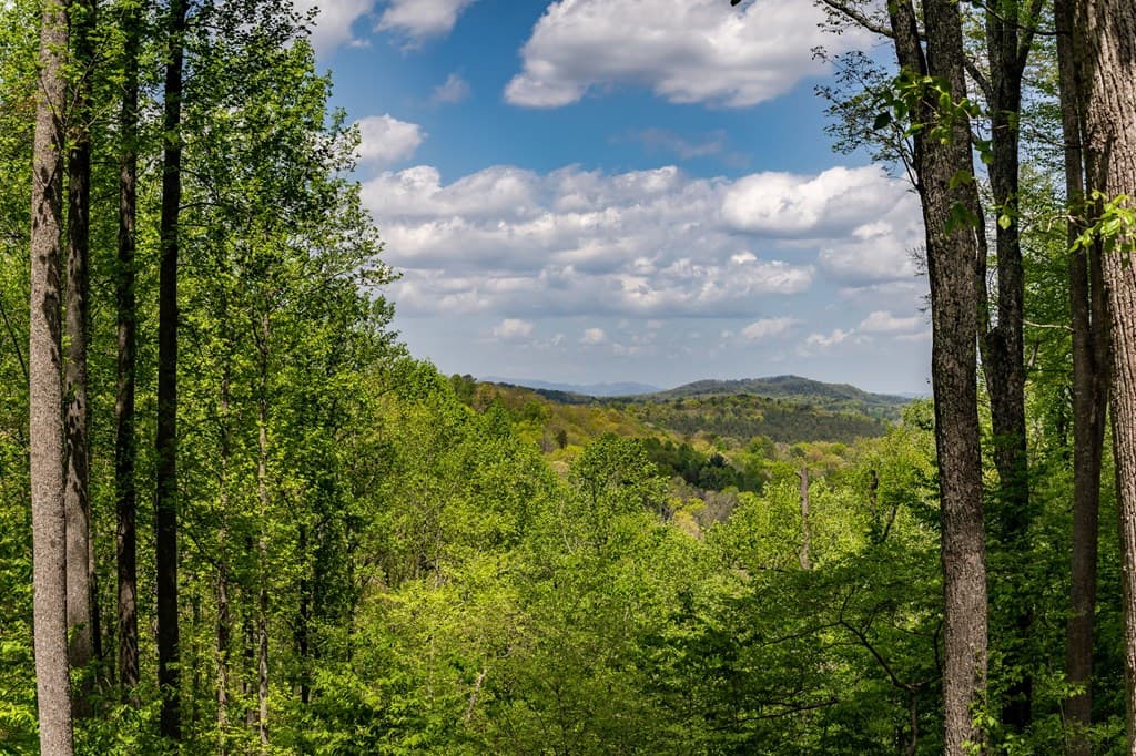 431 Little Bushy Head Road, Blue Ridge GA 30513 - Photo