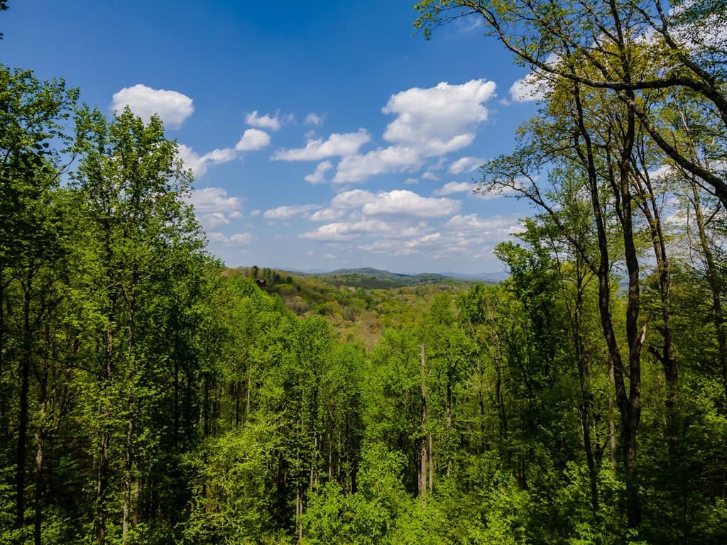 431 Little Bushy Head Road, Blue Ridge GA 30513 - Photo