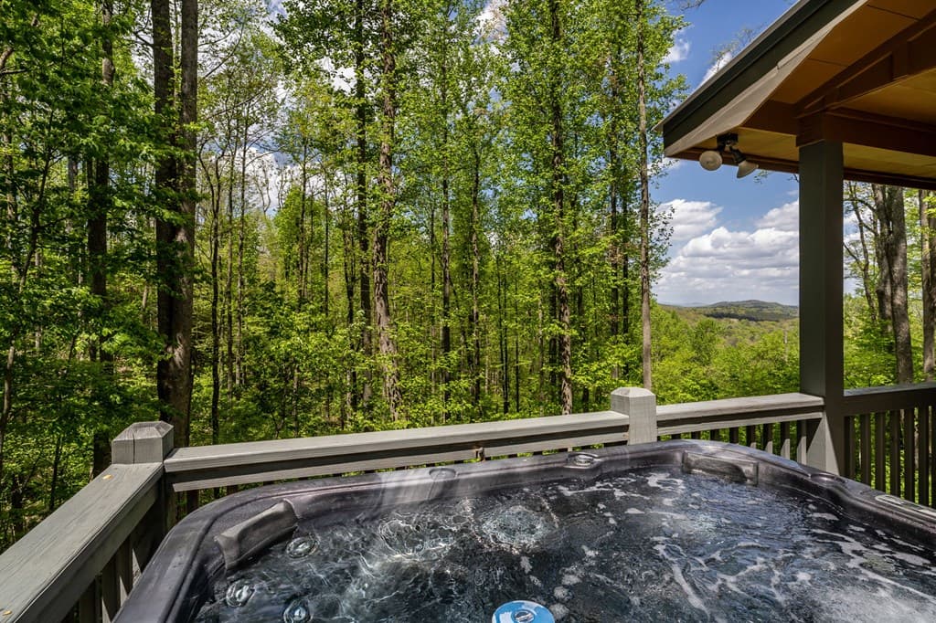 431 Little Bushy Head Road, Blue Ridge GA 30513 - Photo
