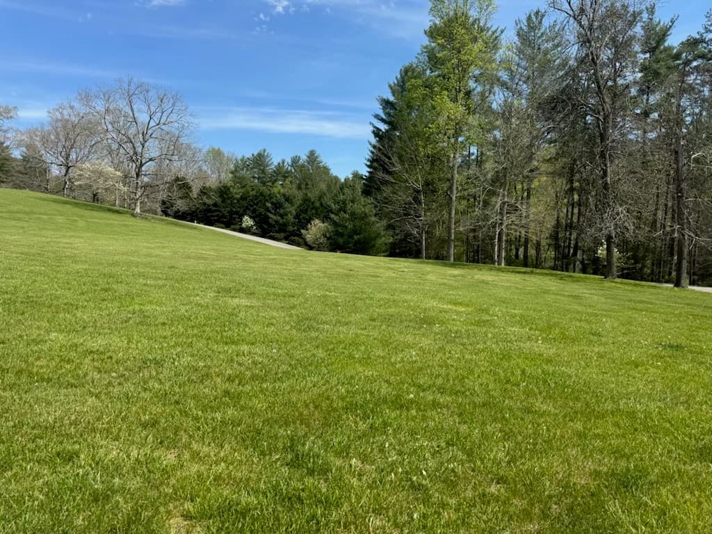 2.2 Acre Coopers Bluff, Suches GA 30572 - Photo