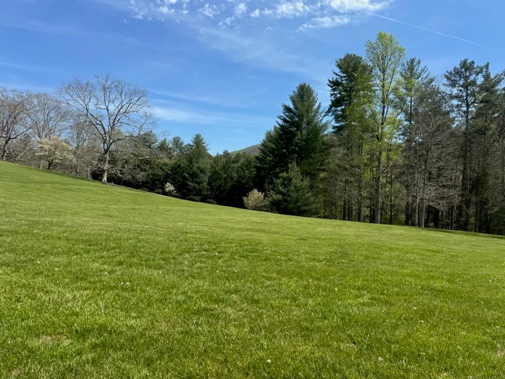2.2 Acre Coopers Bluff, Suches GA 30572 - Photo