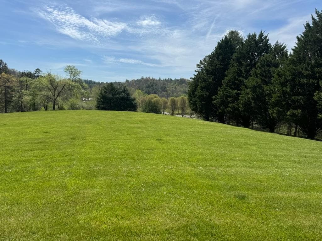 2.2 Acre Coopers Bluff, Suches GA 30572 - Primary photo