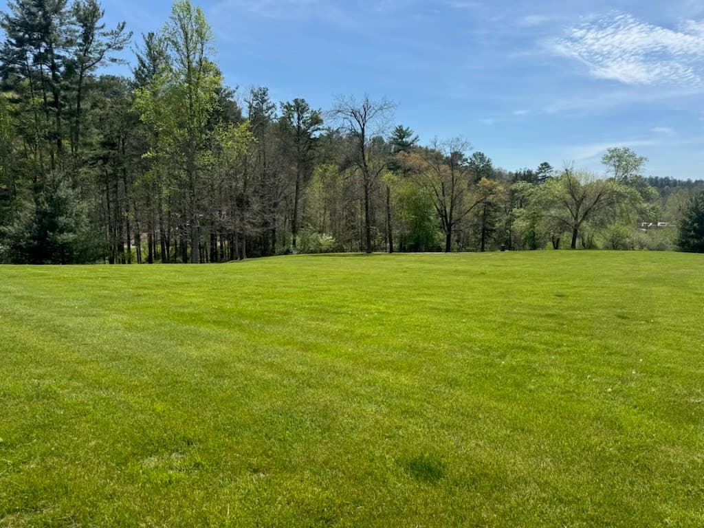 2.2 Acre Coopers Bluff, Suches GA 30572 - Photo