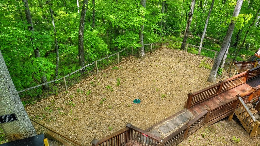 40 Joanna Court, Cherry Log GA 30522 - Photo