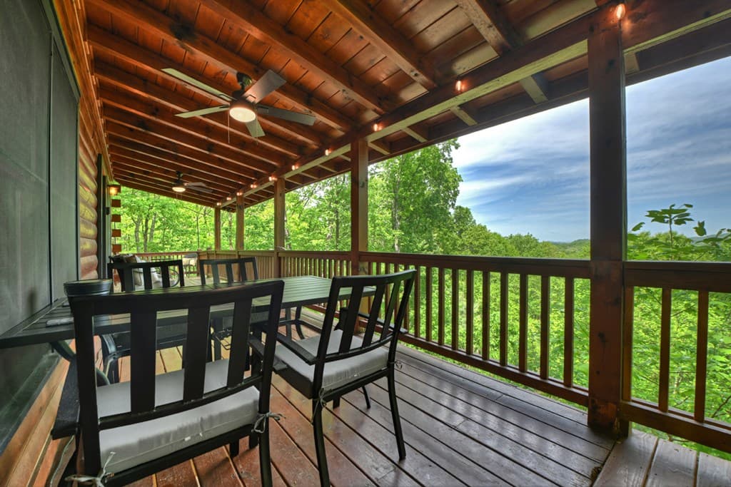 40 Joanna Court, Cherry Log GA 30522 - Photo