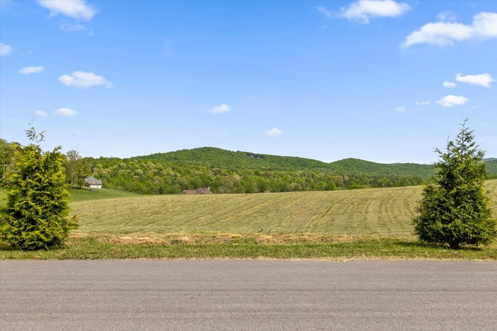 Lot 2 Bravo Way, Talking Rock GA 30175 - Photo