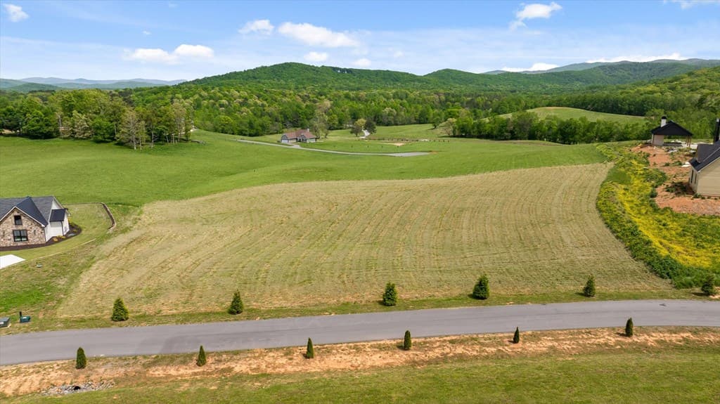 Lot 2 Bravo Way, Talking Rock GA 30175 - Photo