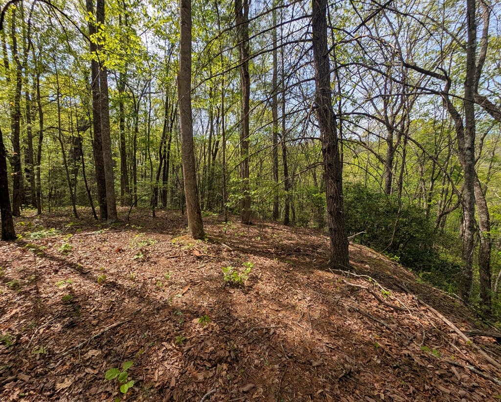 348 Atali Circle, Murphy MD 20906 - Photo