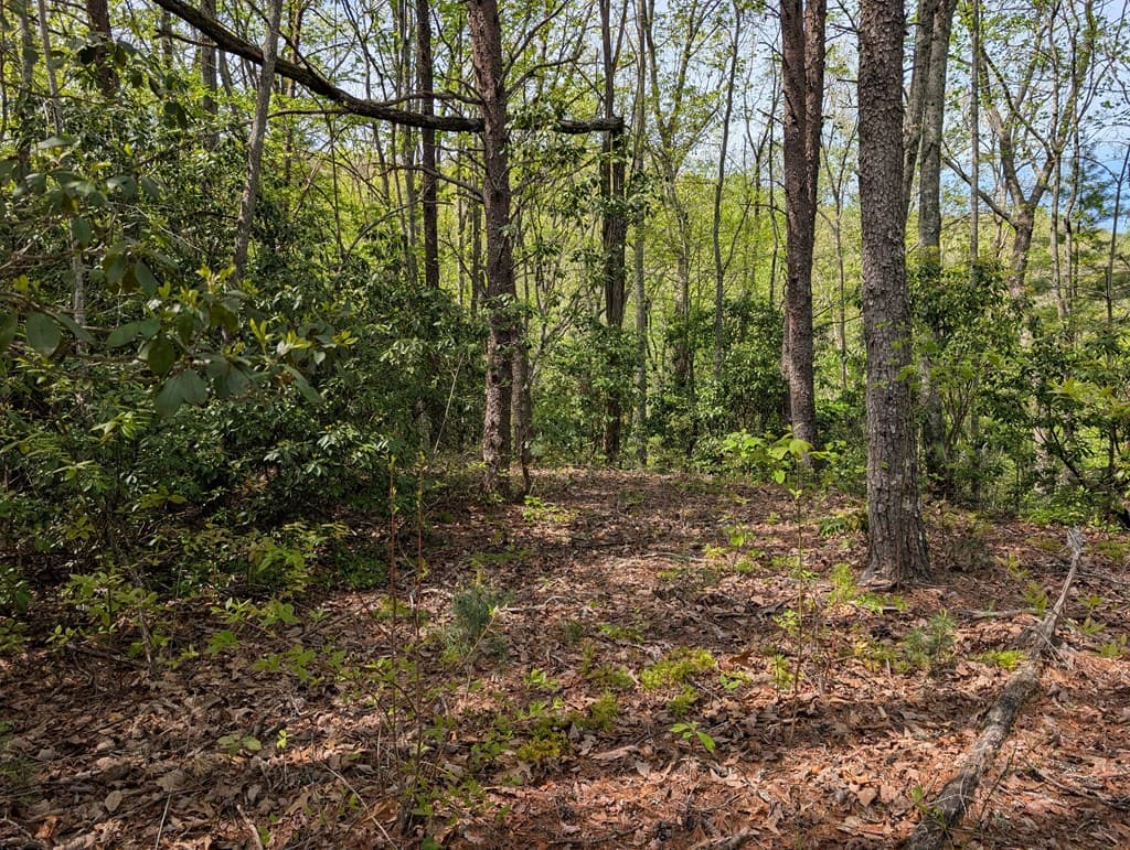 348 Atali Circle, Murphy MD 20906 - Photo
