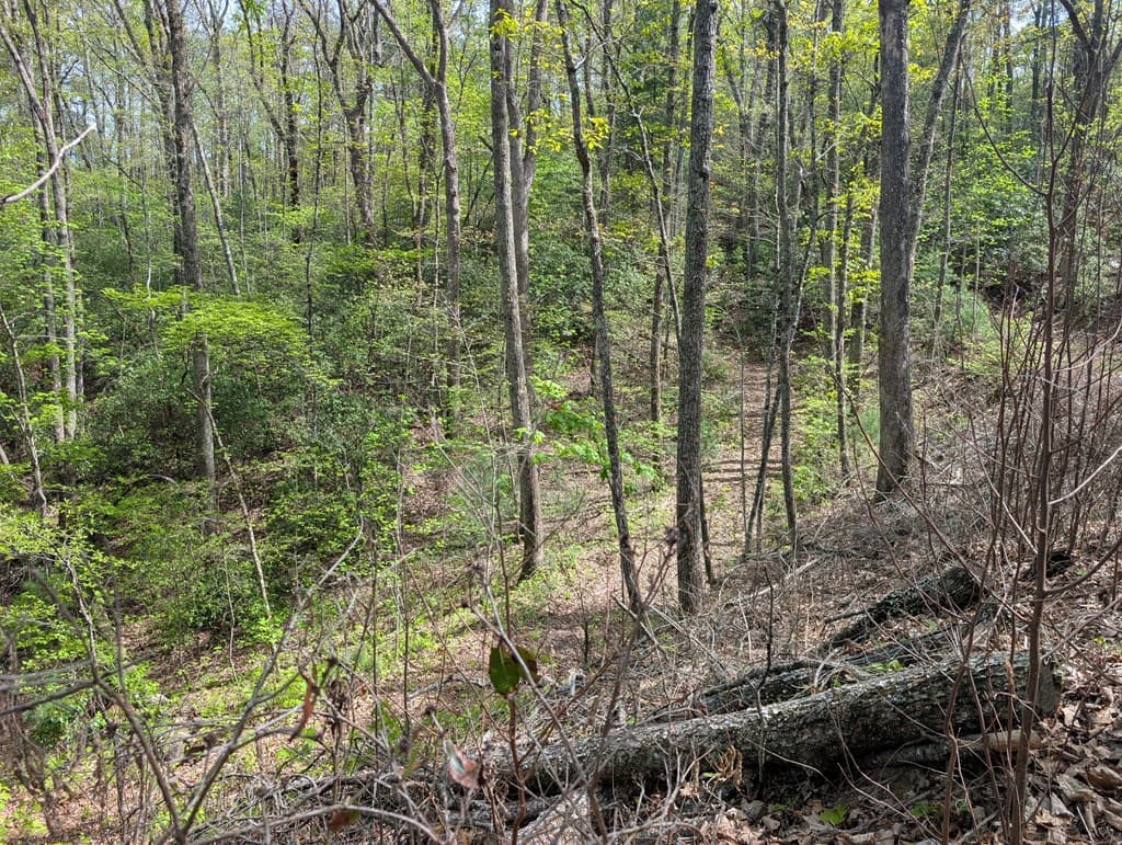348 Atali Circle, Murphy MD 20906 - Photo