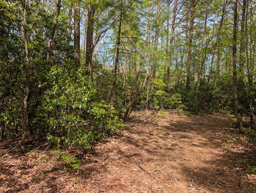 348 Atali Circle, Murphy MD 20906 - Photo
