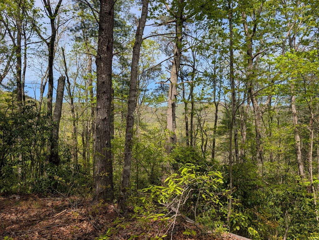 348 Atali Circle, Murphy MD 20906 - Photo