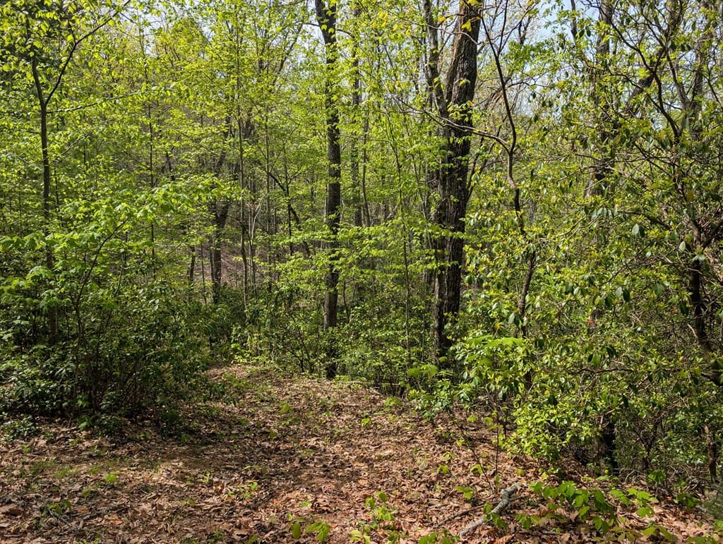 348 Atali Circle, Murphy MD 20906 - Photo