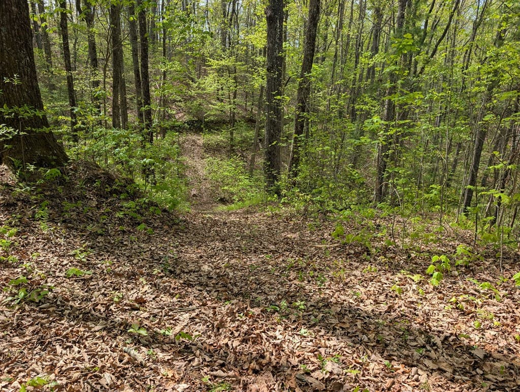 348 Atali Circle, Murphy MD 20906 - Photo