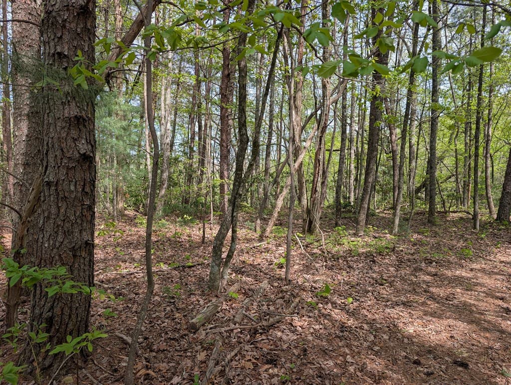 348 Atali Circle, Murphy MD 20906 - Photo