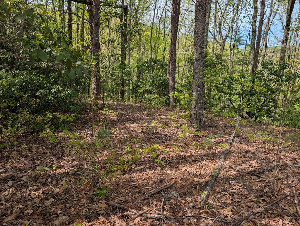 348 Atali Circle, Murphy MD 20906 - Photo