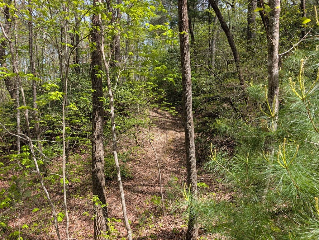 348 Atali Circle, Murphy MD 20906 - Photo