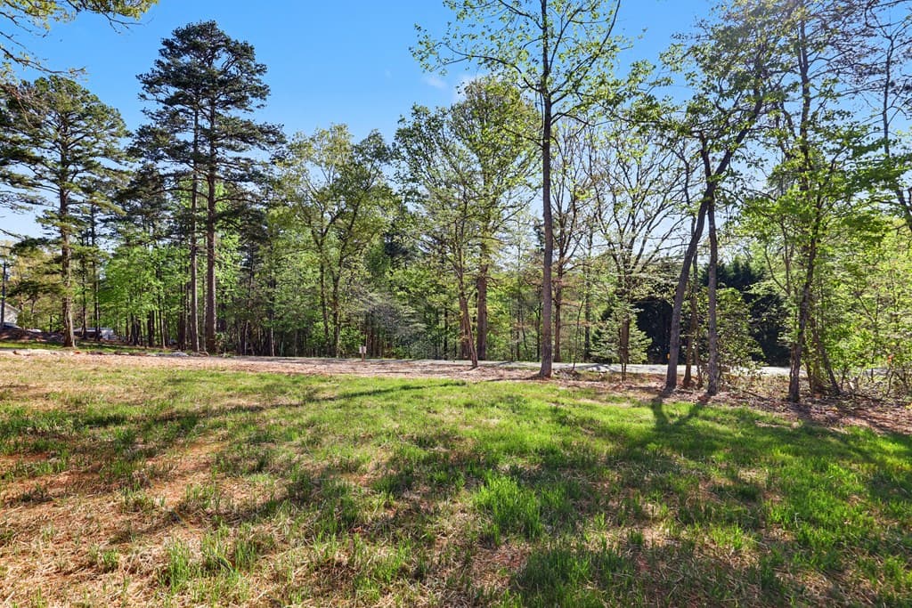 1323 John Smith Road E, Blairsville GA 30512 - Photo