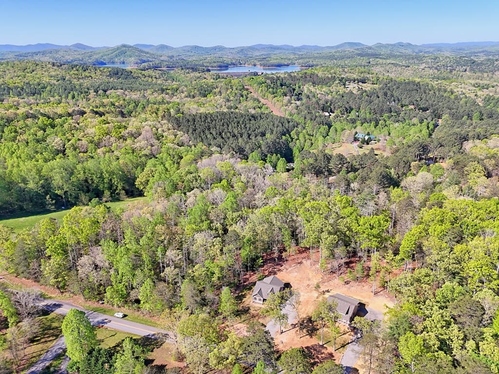 1323 John Smith Road E, Blairsville GA 30512 - Photo