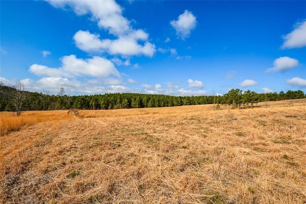 119 Inland Drive, Talking Rock GA 30175 - Photo