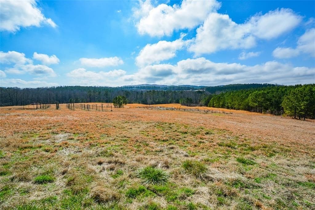 119 Inland Drive, Talking Rock GA 30175 - Photo