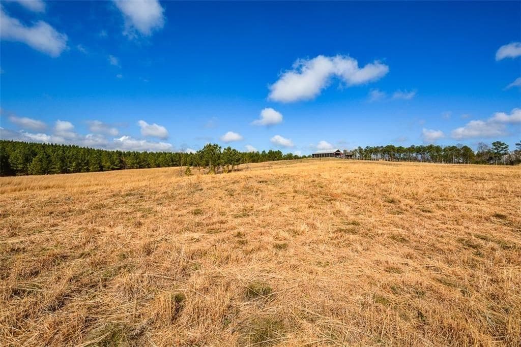 119 Inland Drive, Talking Rock GA 30175 - Photo
