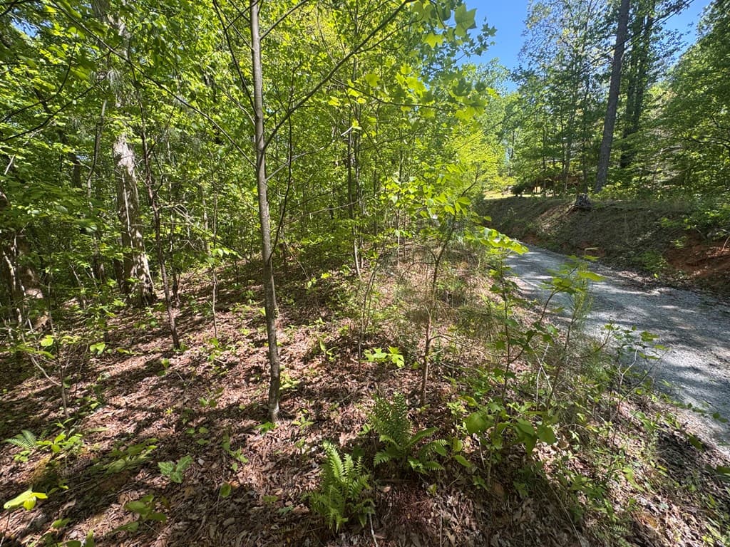 2.42 AC Poplar Drive N, Jasper GA 30143 - Photo