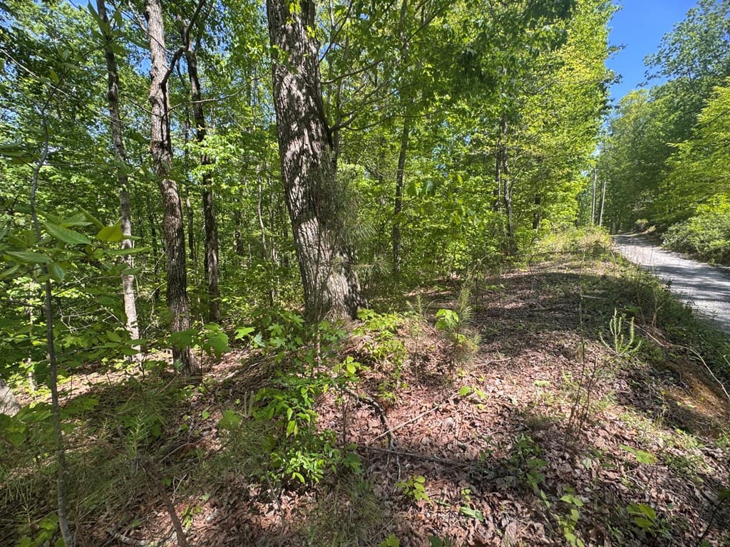 2.42 AC Poplar Drive N, Jasper GA 30143 - Photo