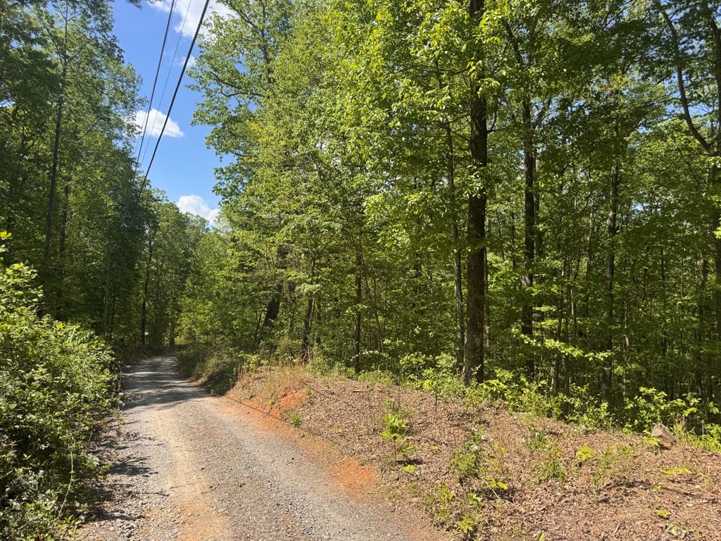 2.42 AC Poplar Drive N, Jasper GA 30143 - Photo