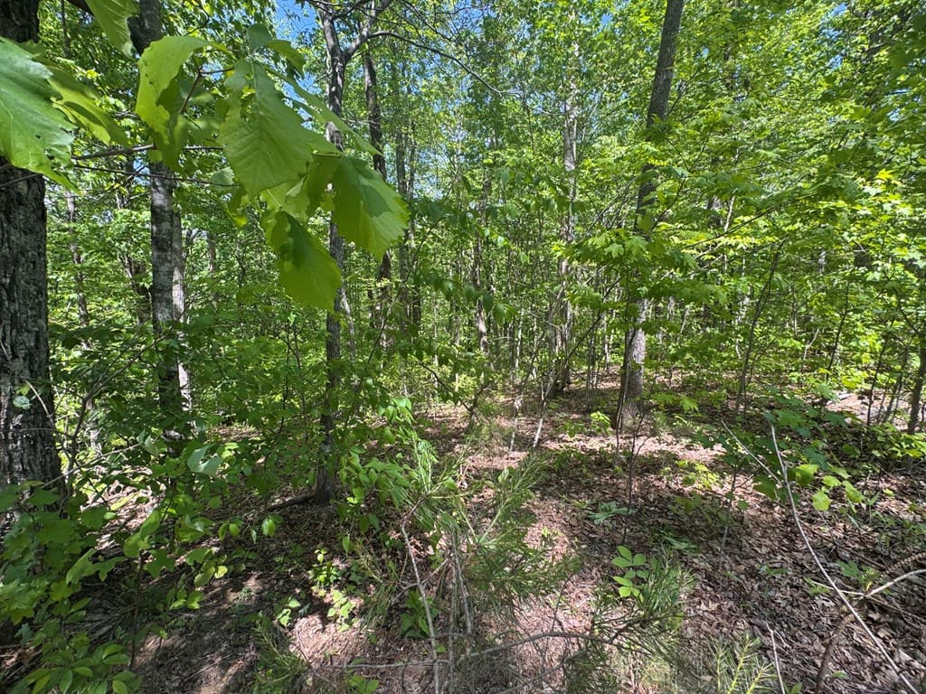 2.42 AC Poplar Drive N, Jasper GA 30143 - Photo