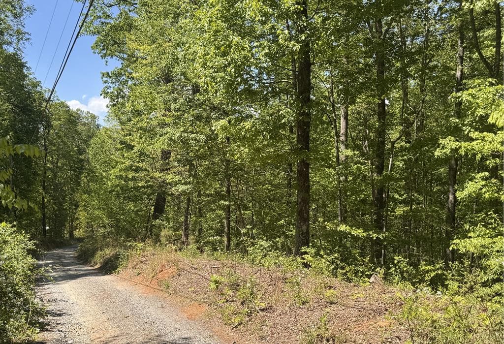 2.42 AC Poplar Drive N, Jasper GA 30143 - Primary photo