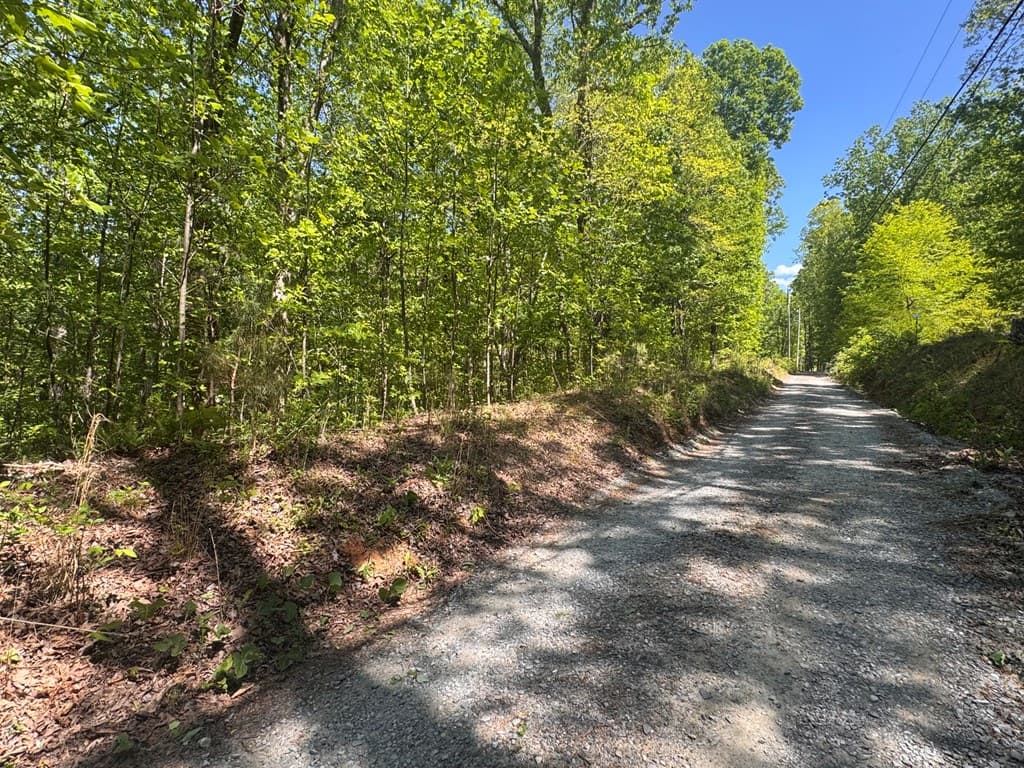 2.42 AC Poplar Drive N, Jasper GA 30143 - Photo