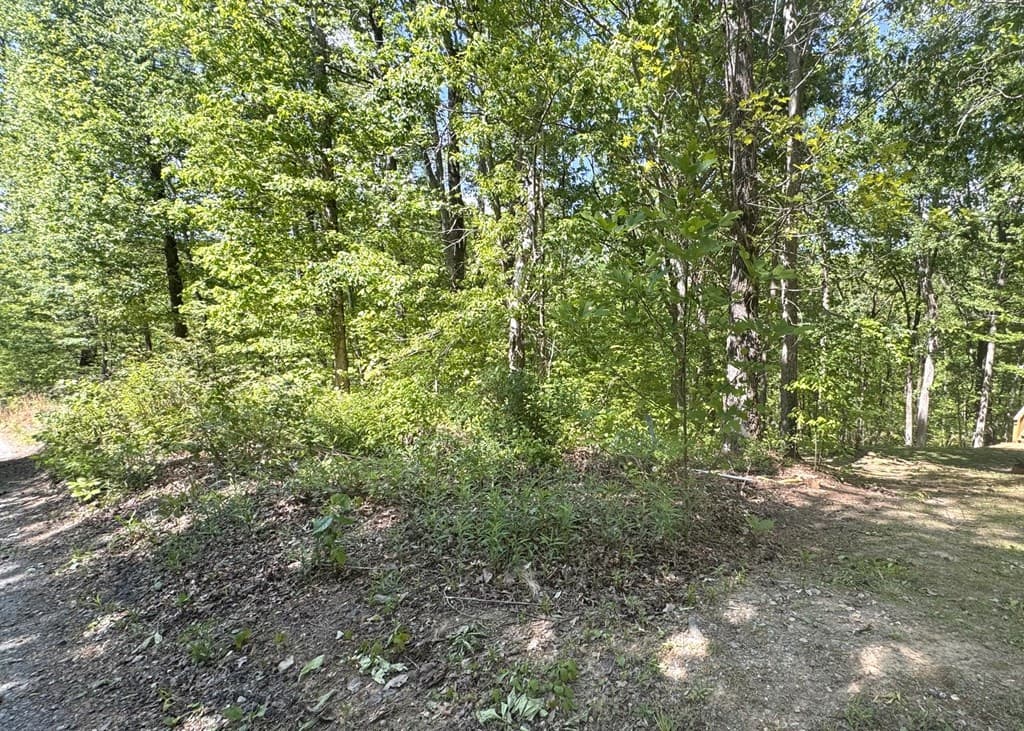 2.42 AC Poplar Drive N, Jasper GA 30143 - Photo