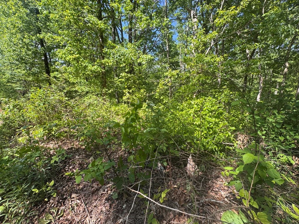 2.42 AC Poplar Drive N, Jasper GA 30143 - Photo
