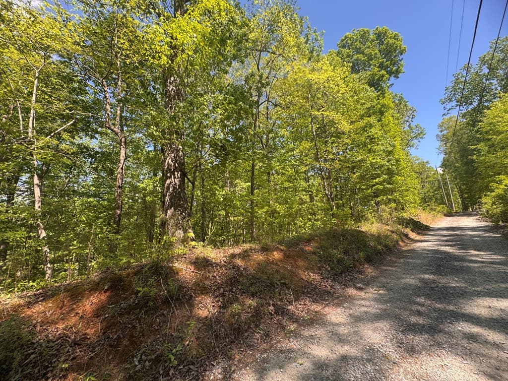 2.42 AC Poplar Drive N, Jasper GA 30143 - Photo