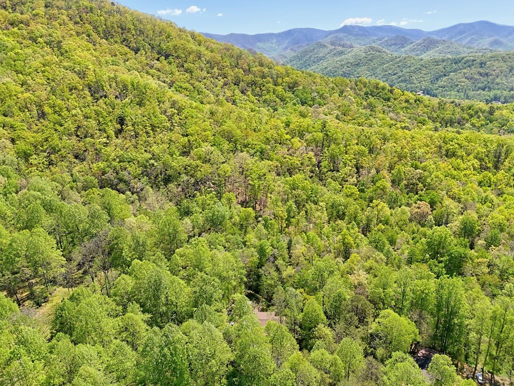 8 Stoney Brook Trail, Hayesville NC 28904 - Photo