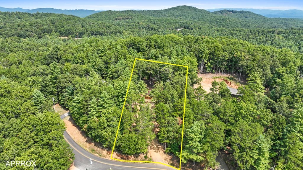 786 Cook Henry Road, Morganton GA 30560 - Photo