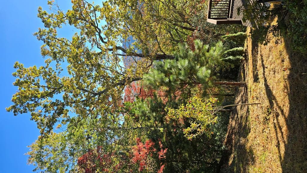 299 Bethabara View, Hayesville NC 28904 - Photo