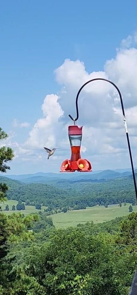 299 Bethabara View, Hayesville NC 28904 - Photo