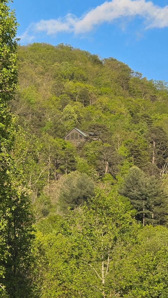 299 Bethabara View, Hayesville NC 28904 - Photo